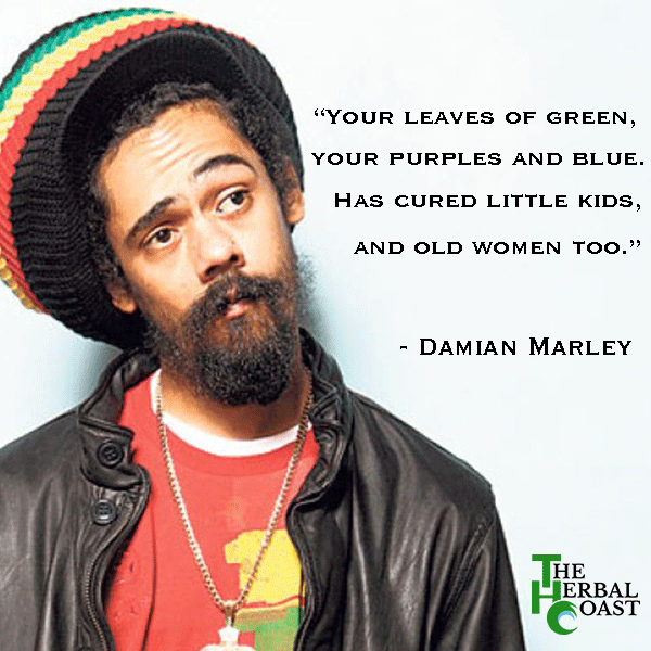 Damian Marley Is Growing Weed In An Abandoned Prison