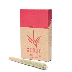 5-Pack Pre-Rolls┃Scout